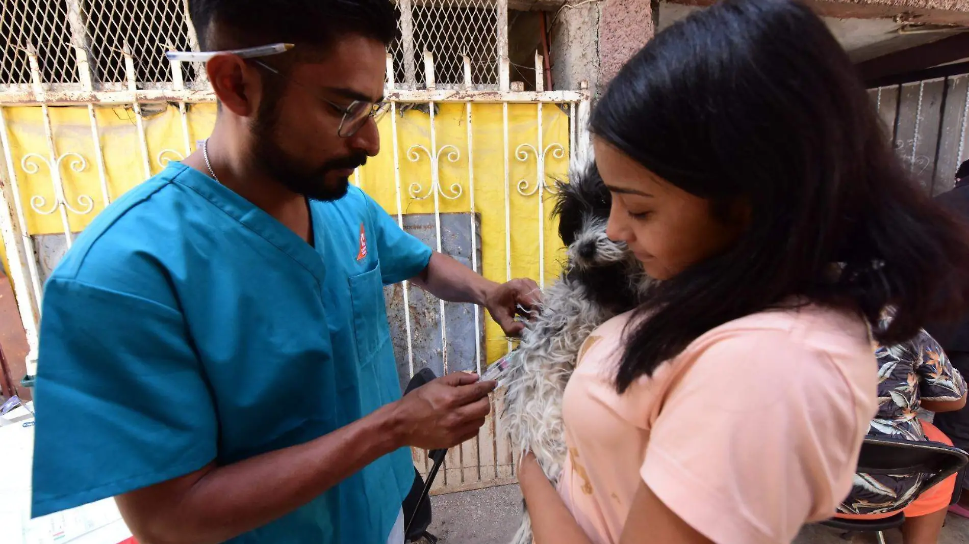 Quieres esterilizar a tus mascotas